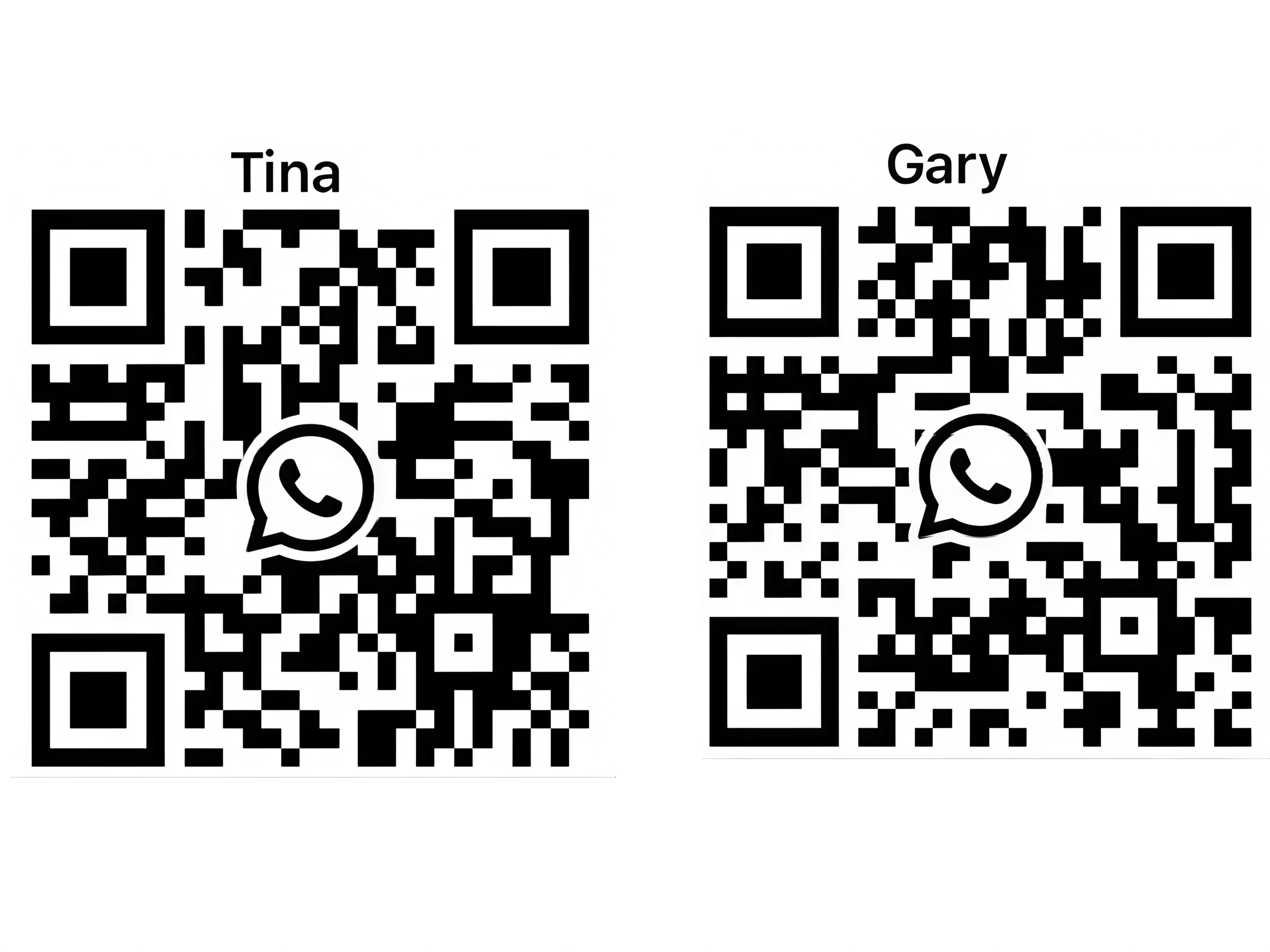 the qr code